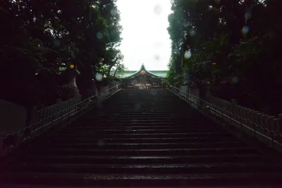 DSC_3229 (Large).JPG